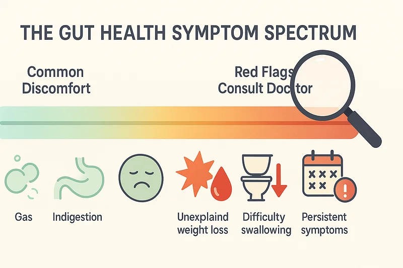 How to Spot Gut Health Red Flags: When to Seek Professional Help